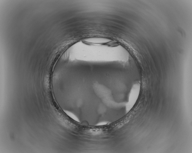 X0000110990353200907171756