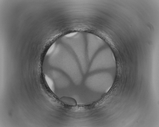 X0000110990354200907171756