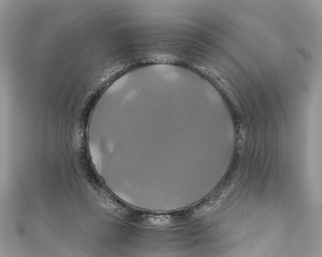 X0000110990355200907171756