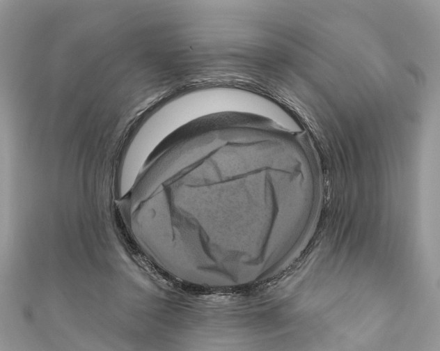 X0000110990356200907171756