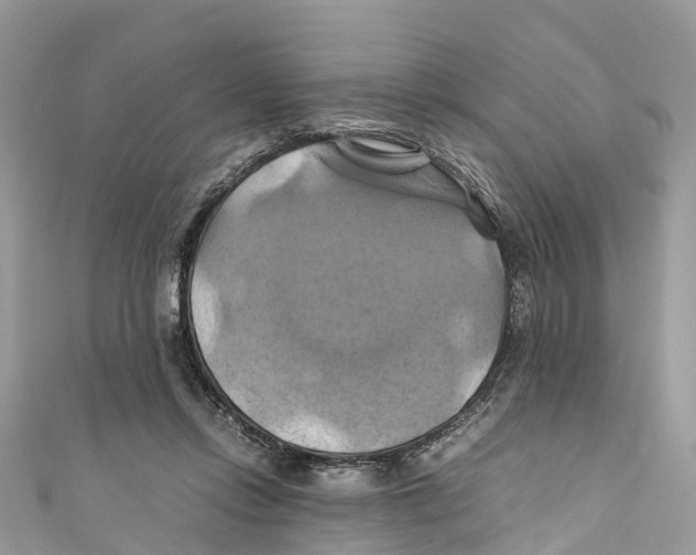 X0000110990358200907171757
