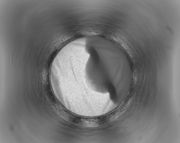 X0000110990359200907171757