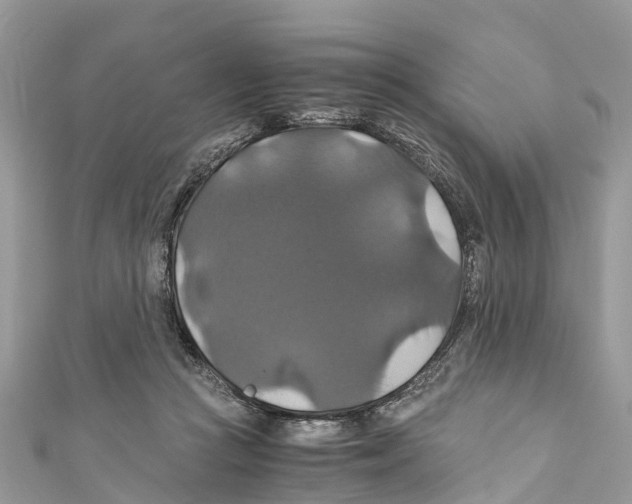 X0000110990361200907171757