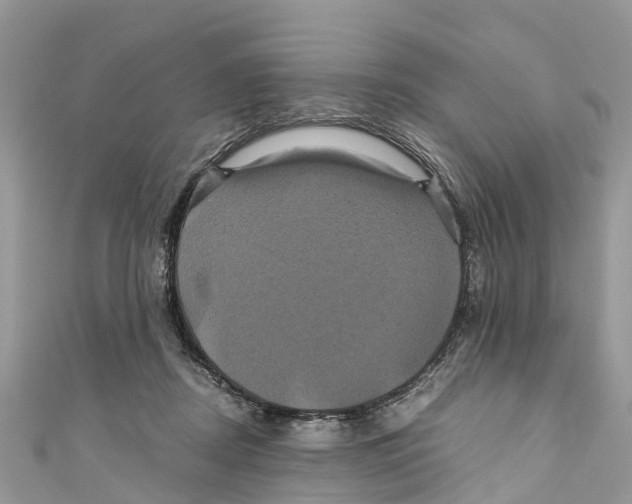 X0000110990362200907171757