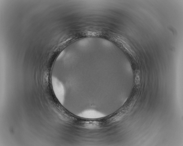 X0000110990363200907171757