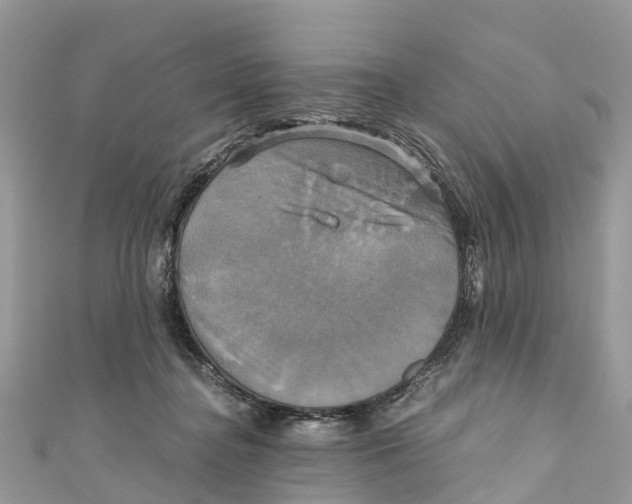 X0000110990364200907171757