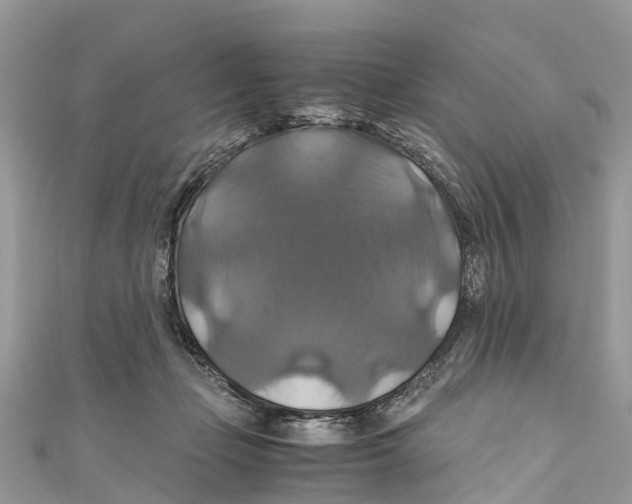 X0000110990365200907171757