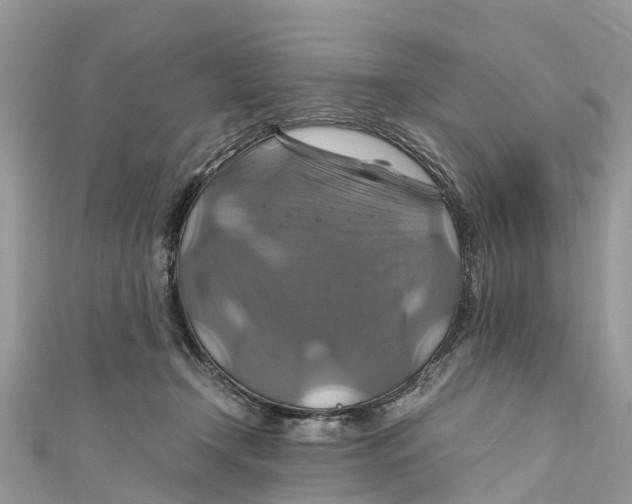 X0000110990366200907171757