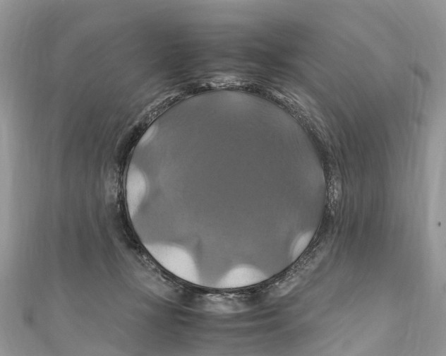X0000110990367200907171757