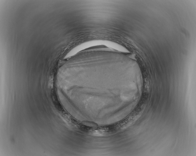 X0000110990368200907171757