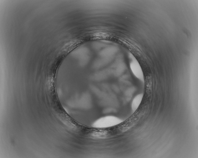 X0000110990369200907171757