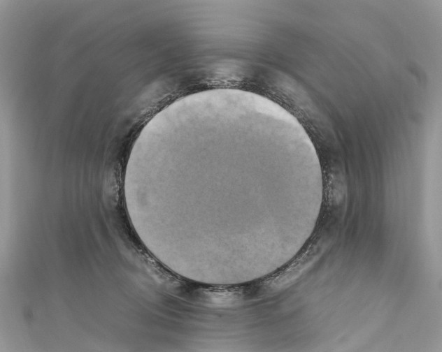 X0000110990370200907171757