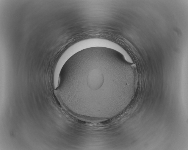 X0000110990372200907171757