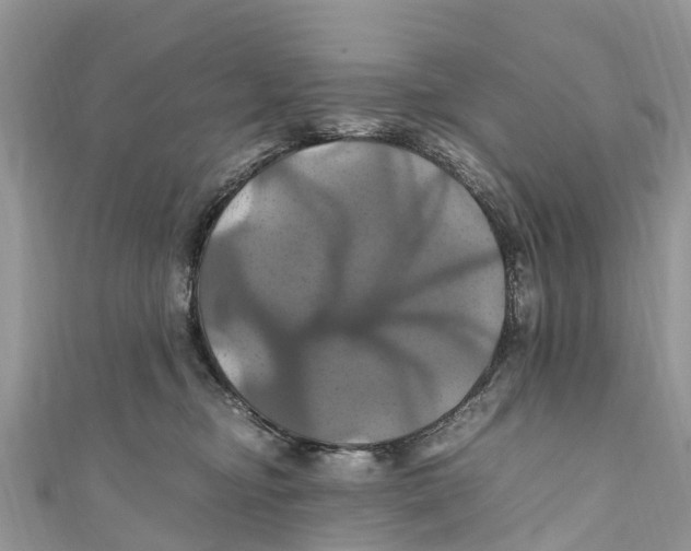 X0000110990374200907171757