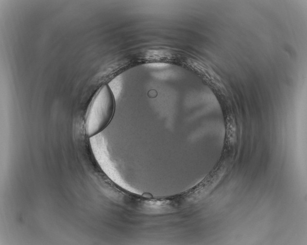 X0000110990375200907171757
