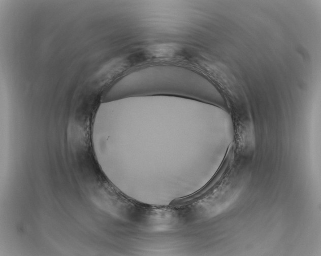 X0000110990376200907171757