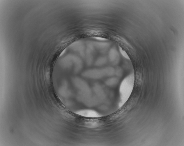 X0000110990377200907171757