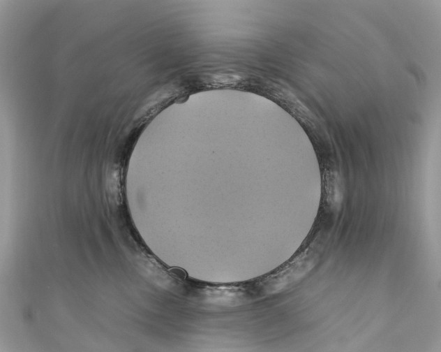 X0000110990378200907171757