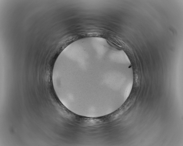 X0000110990379200907171757