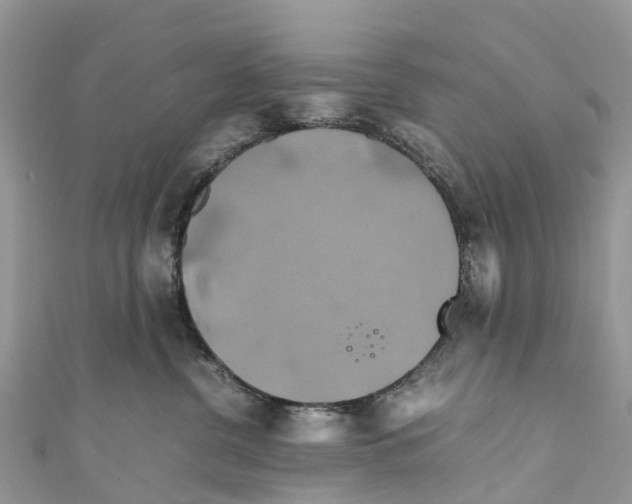 X0000110990380200907171757