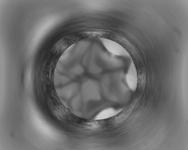 X0000110990381200907171757