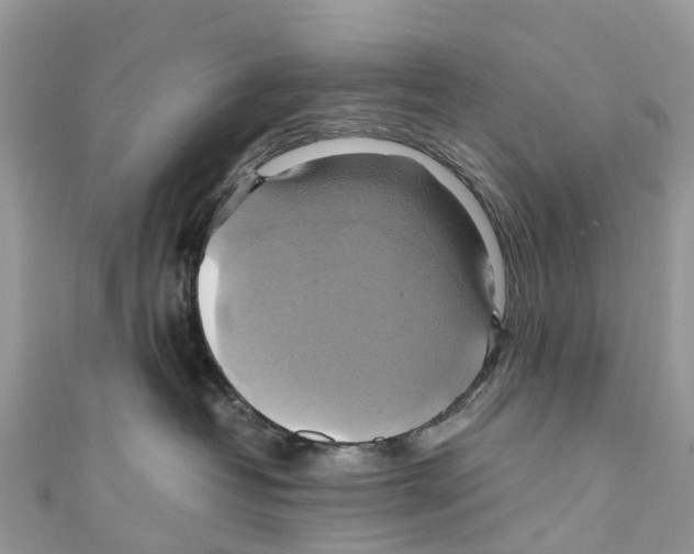X0000110990382200907171757