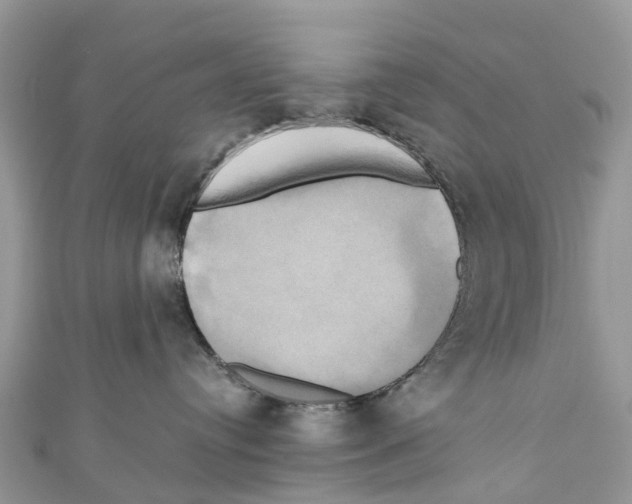 X0000110990384200907171757