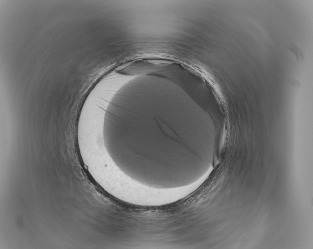 X0000110990385200907171756