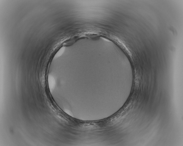 X0000110990386200907171756