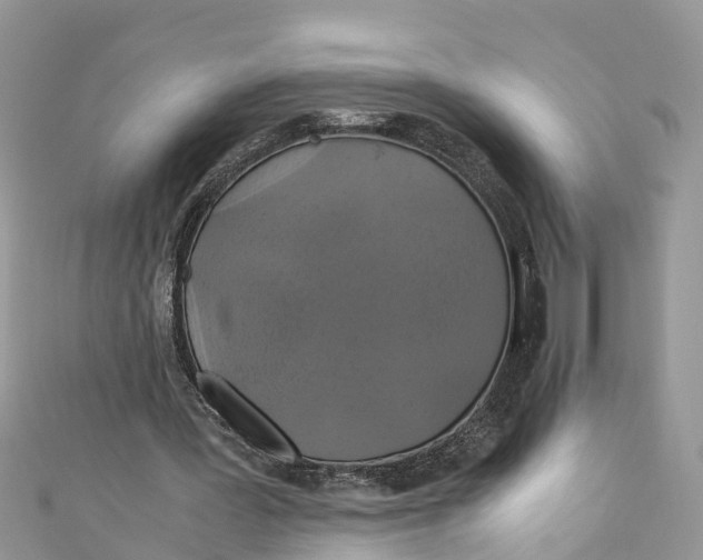 X0000110990387200907171756