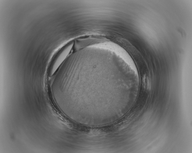 X0000110990388200907171756