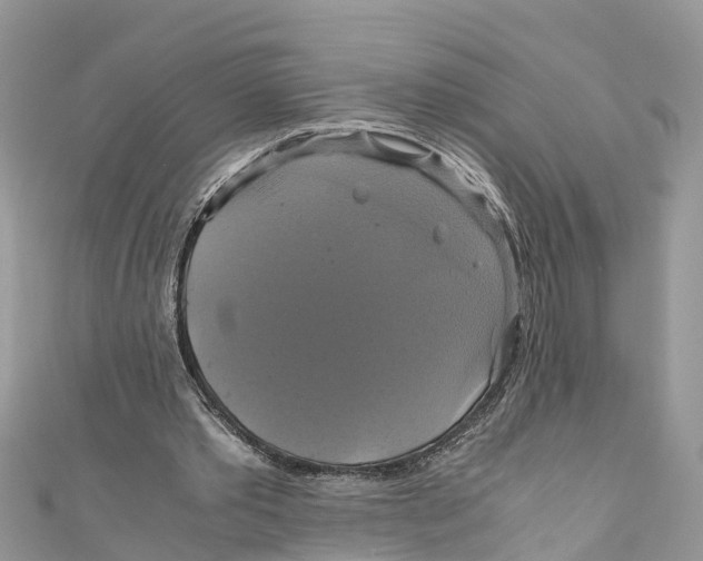 X0000110990389200907171756