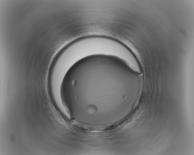 X0000110990391200907171756