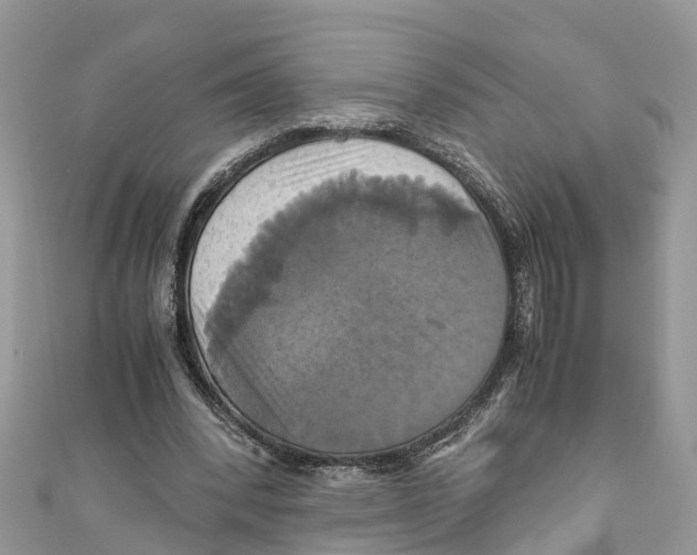 X0000110990392200907171756