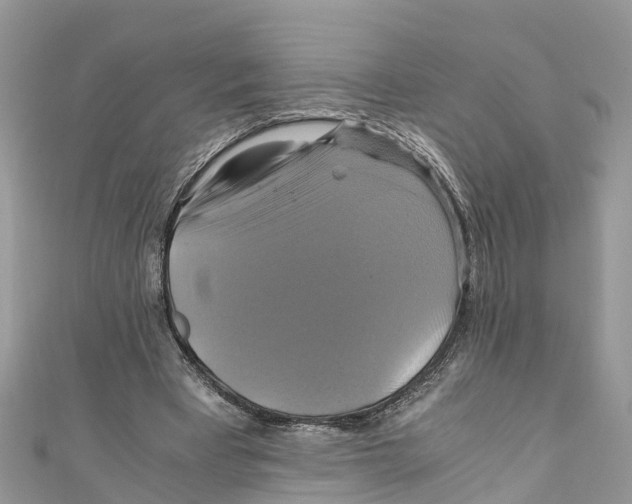 X0000110990393200907171756