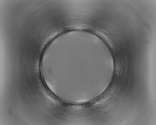 X0000110990394200907171756