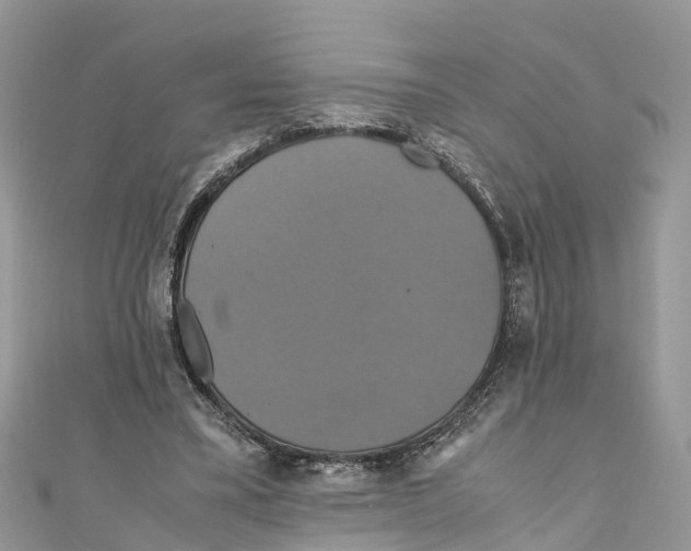 X0000110990395200907171756