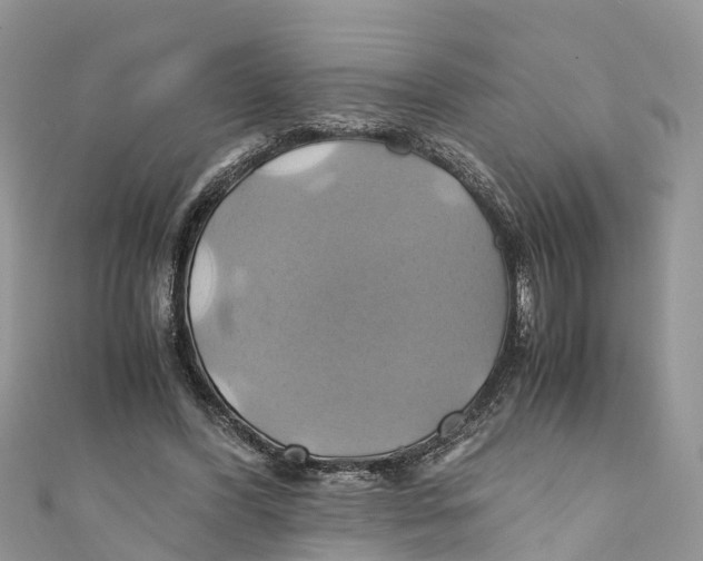 X0000110990396200907171756