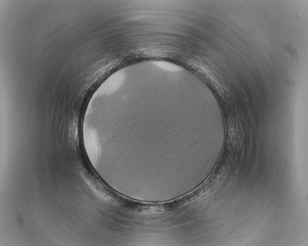 X0000110990398200907171756