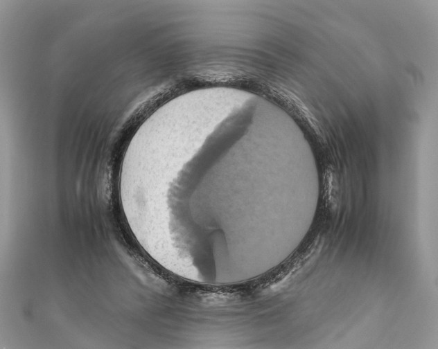 X0000110990400200907171756