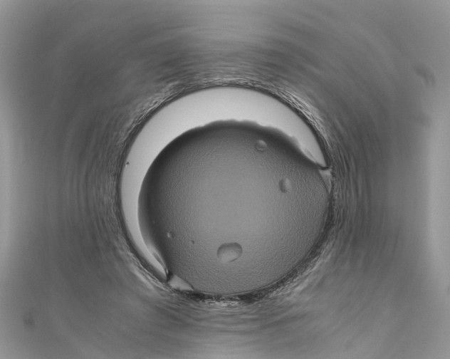 X0000110990401200907171756