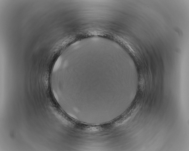 X0000110990402200907171756