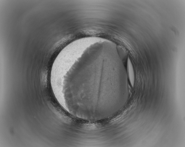 X0000110990404200907171756