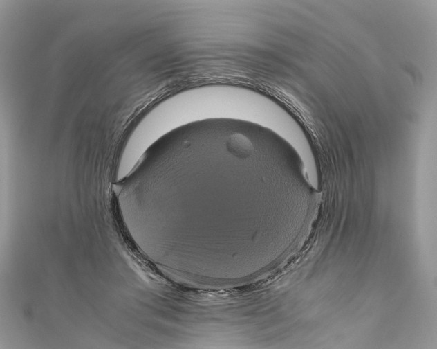 X0000110990405200907171756