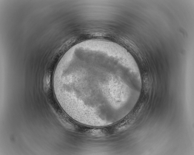 X0000110990406200907171756