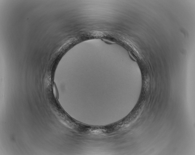 X0000110990407200907171756
