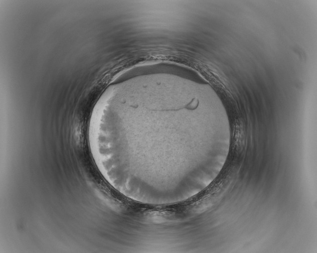 X0000110990408200907171756