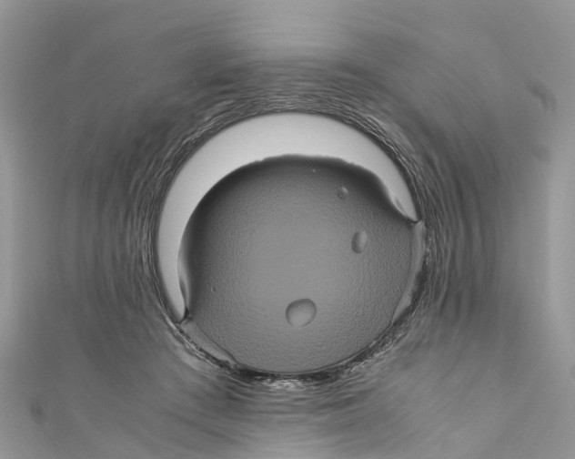 X0000110990409200907171756