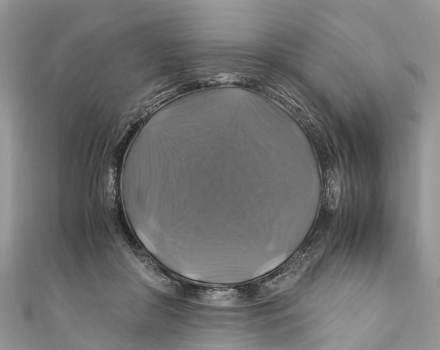 X0000110990410200907171756