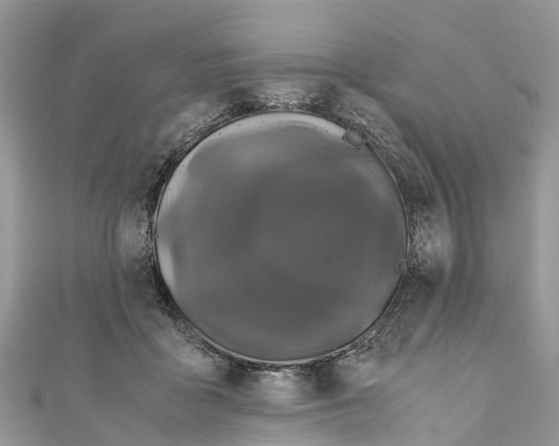 X0000110990411200907171756